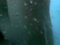 Fantastic Amateur, Beach, Spy Cam Clip Show