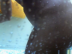 Best Amateur, Beach, Spy Cam Video You'Ve Seen