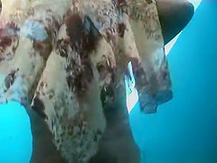 Unbelievable Beach, Amateur, Russian Movie You'Ve Seen