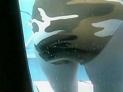 Spy Cam Shows Amateur, Spy Cam, Changing Room Clip Show