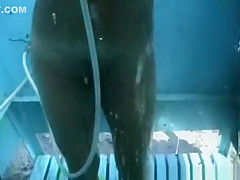 Hot Spy Cam, Beach, Amateur Scene Just For You