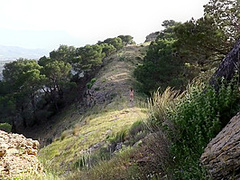 Mila Azul - Queen Of The Mountain