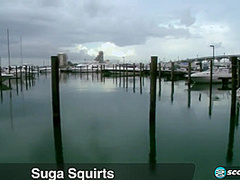 Suga Squirts