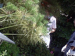 Best Porn Video Hairy Exotic Full Version