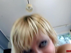 Yillie Fresh No Entry