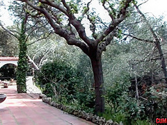 Yillie Fresh No Entry