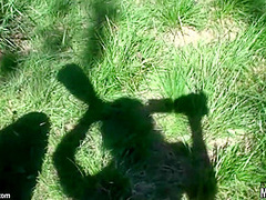 Lollesbians - Picnic 2 Down 4