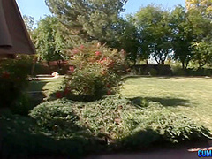 Phoenix Marie Give Me Back My Dick