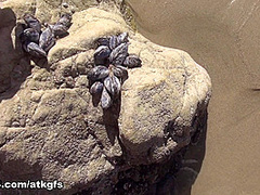 Chloe Foster in Virtual Date Movie - ATKGirlfriends