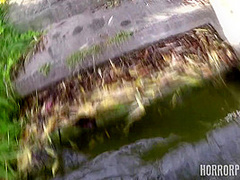 HORRORPORN Wet And Horny Girl From The Lake