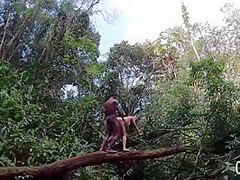 Sweet Brunette Always Wanted To Get Fucked In The Nature, By A Horny, Black Guy