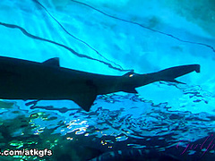 Aliya Brynn in Virtual Vacation Movie - ATKGirlfriends