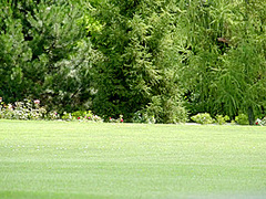 Exotic Sex Clip Blonde Exclusive Like In Your Dreams