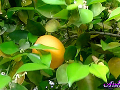 Andiland - Tease By The Pool