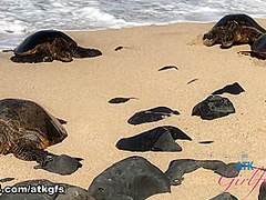 Zaya Cassidy in Virtual Vacation Movie - ATKGirlfriends