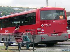 P1205 Lulu