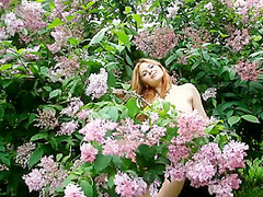 Summer Colors 2014 06 23