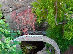 Playboytv - Early Bird Yoga - Season 2, Episode 2