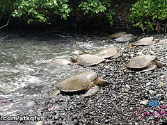 Chloe Foster in Virtual Vacation Movie - ATKGirlfriends