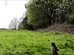 Lukehardyxxx - Chkittys