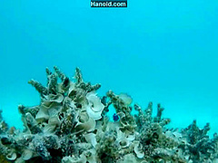 Asahi Mizuno In Naked Skew Bar Mizuno