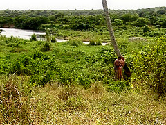 Tarra White Sex In The Tropics