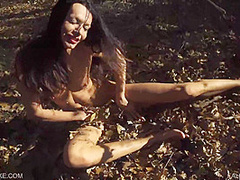 Fallen Leaves