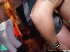 Party Strippers