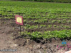 Paris White in Virtual Date Movie - ATKGirlfriends