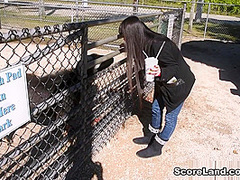 Everglades Road Trip - Hitomi - Scoreland