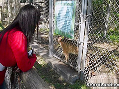 Everglades Road Trip - Hitomi - Scoreland