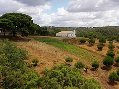 My Playground - Angel Constance - Met-Art