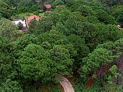 Fucked This Hot Latin Babe