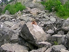 Leonyaprill - 2012-06-13