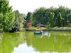 Sasha Rose Shalina Devine Kinuski - Vixens On Vacation - Part 1