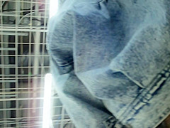 japanese upskirt 460