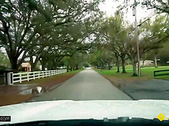 Park That Big Mack Truck In This Little Garage