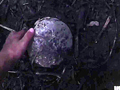 HORRORPORN - Predator Dick Hunter