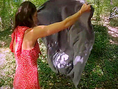 Amateur Blowjob By Busty Brune