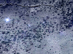 Car Wash Teens Hot Porn Collection