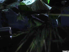 Welcome To The Sinful Jungle!