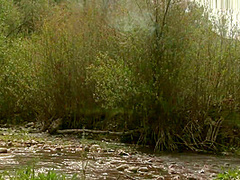 Western Outdoor Fucking