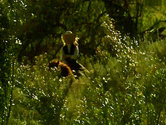 Western Outdoor Fucking