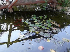 And Threesome Sex - Tiffany Doll And Marica Hase