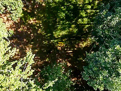 26 2 21 Agatha Vega Forest Story 1080p