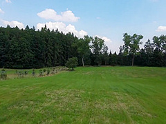 26 2 21 Agatha Vega Forest Story 1080p