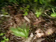 Exotic Looking Minx With Tattoos Gets Pounded In The Woods - Duncan Saint And Mi Ha Doan
