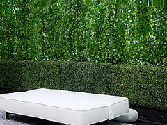 Has Sex With Her First Black Guy During Audition