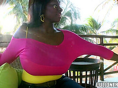 Ebony Chick Gets Filled With White Dick
