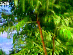 Bibi Noel And Marica Hase In And Hot Group Sex Video